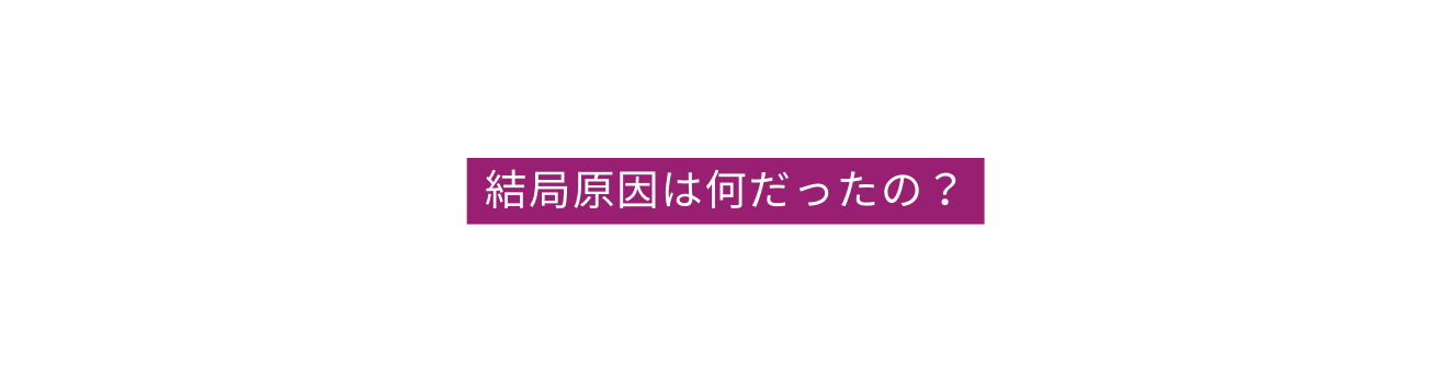 結局原因は何だったの